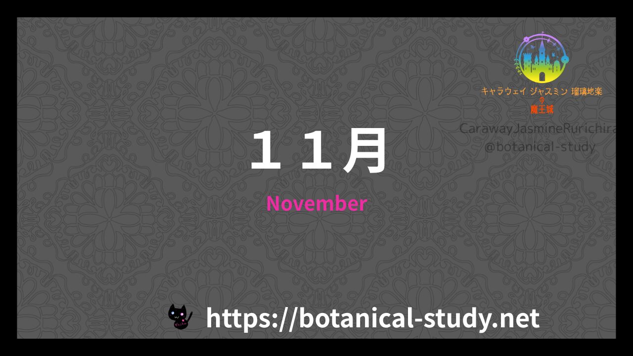 誕生花11月のアイキャッチ