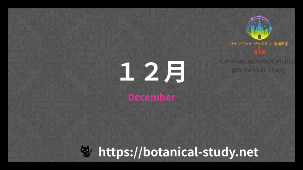誕生花12月のアイキャッチ