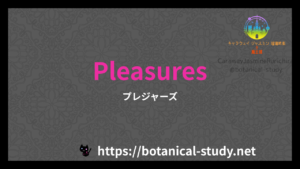 英語版Pleasuresの香水辞典のアイキャッチ