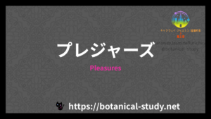Pleasuresの香水辞典のアイキャッチ