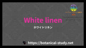 英語版White linenの香水辞典のアイキャッチ