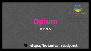 英語版opiumの香水辞典のアイキャッチ