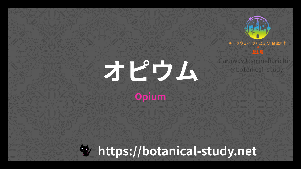 opiumの香水辞典のアイキャッチ