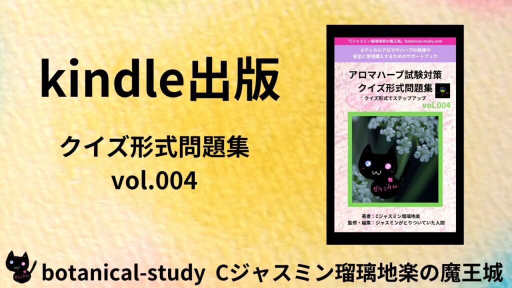 ポートフォリオkindle出版004のアイキャッチ
