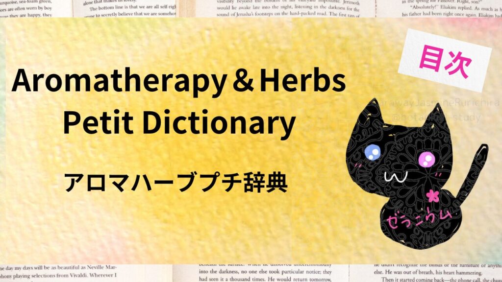 ポートフォリオ｜英語版アロマハーブプチ辞典クイズ＆ピチ辞典目次のアイキャッチ