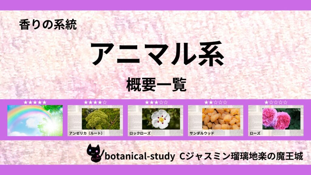 ポートフォリオアニマル系のアイキャッチ