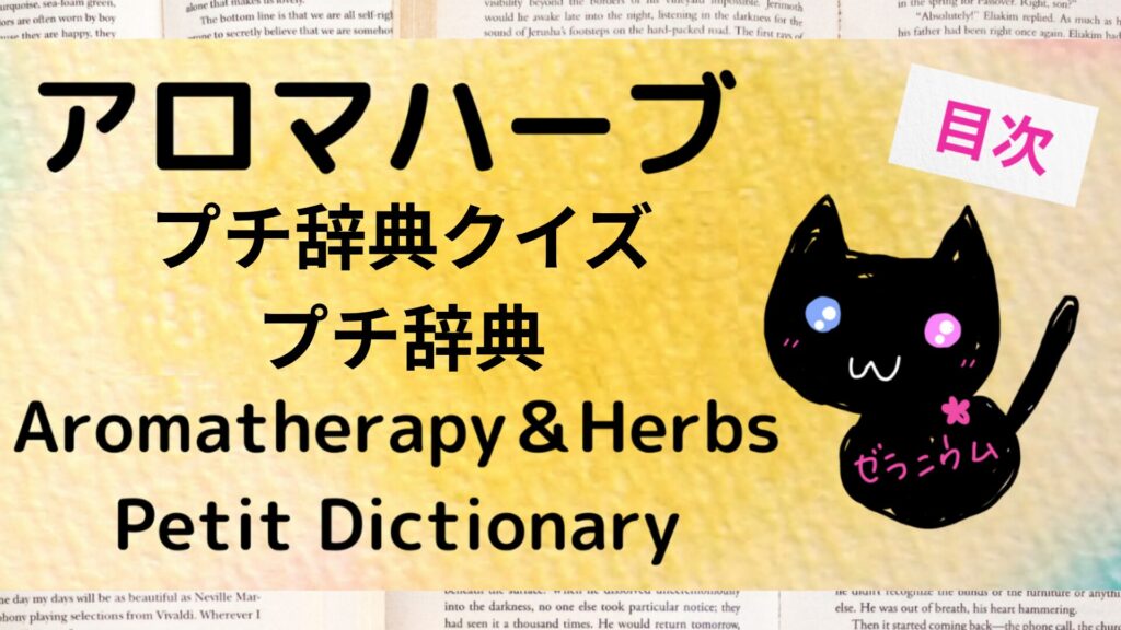 ポートフォリオアロマハーブプチ辞典クイズ＆プチ辞典目次のアイキャッチ