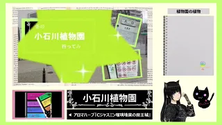 ポートフォリオ小石川植物園のVログ動画のアイキャッチ
