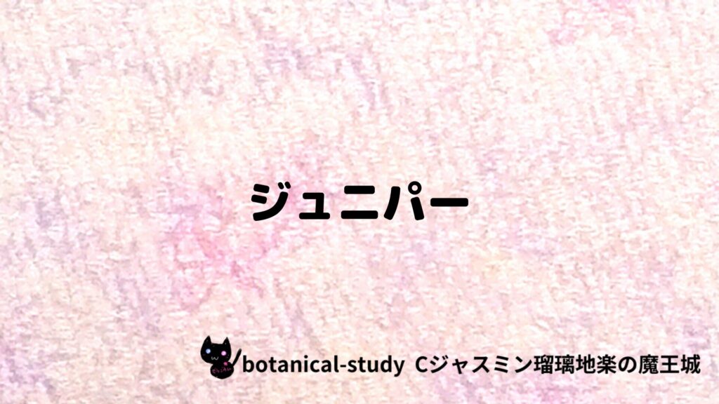 ポートフォリオアロマハーブプチ辞典クイズジュニパーのアイキャッチ