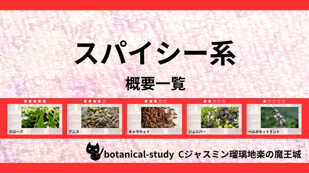 ポートフォリオスパイシー系のアイキャッチ