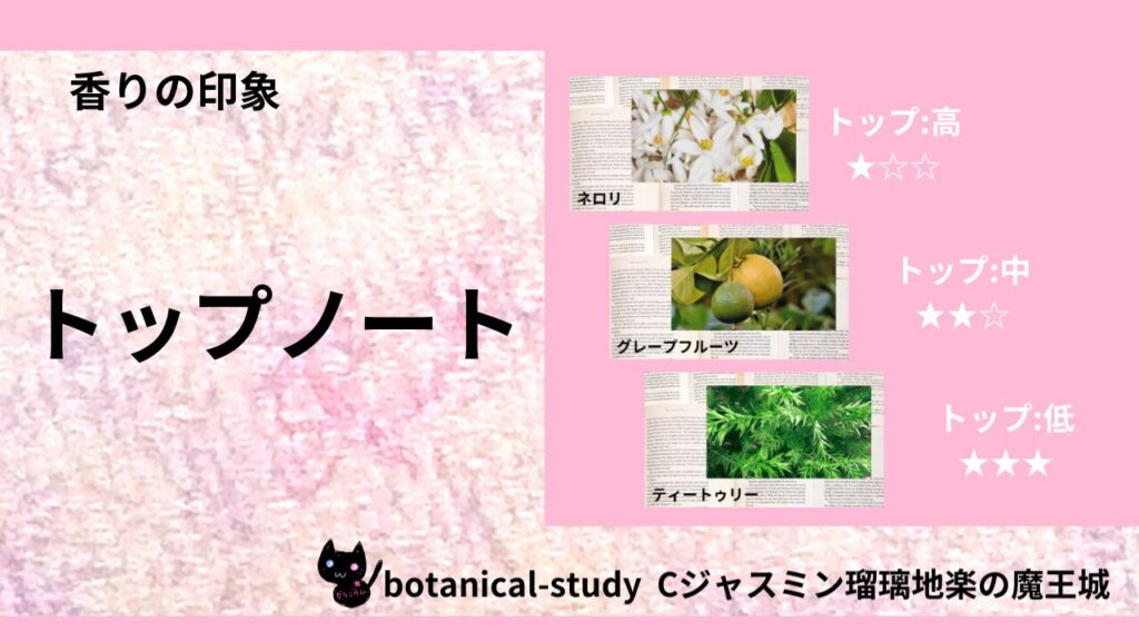 ポートフォリオトップノートのアイキャッチ