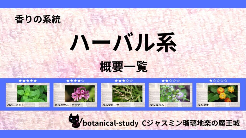 ポートフォリオハーバル系のアイキャッチ