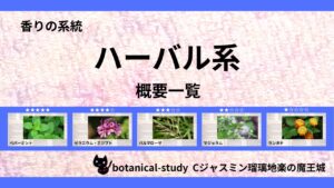 ポートフォリオハーバル系のアイキャッチ