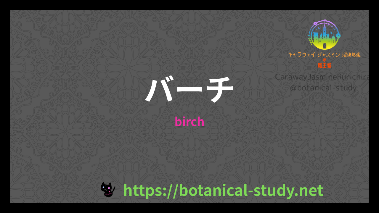 バーチの香りの性質辞典のアイキャッチ