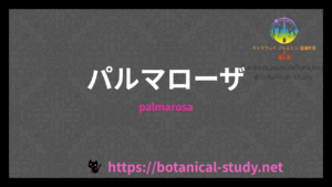 パルマローザの香りの性質辞典のアイキャッチ