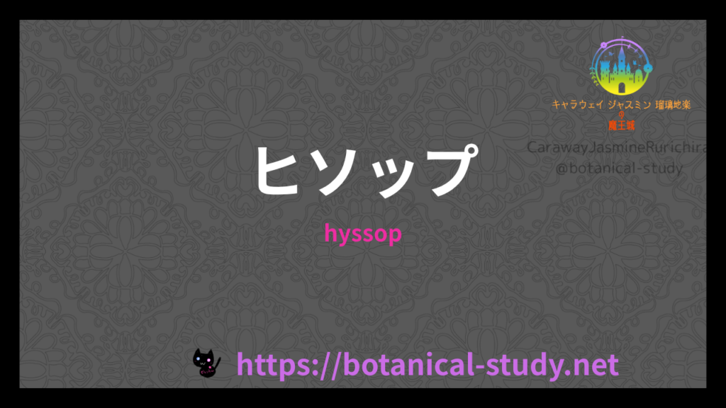 ヒソップの香りの性質辞典のアイキャッチ