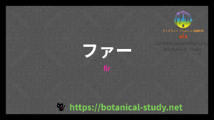 ファーの香りの性質辞典のアイキャッチ