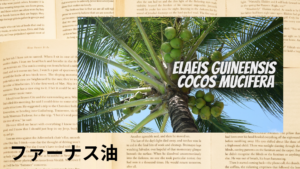 ファーナス油の植物素材辞典のアイキャッチ