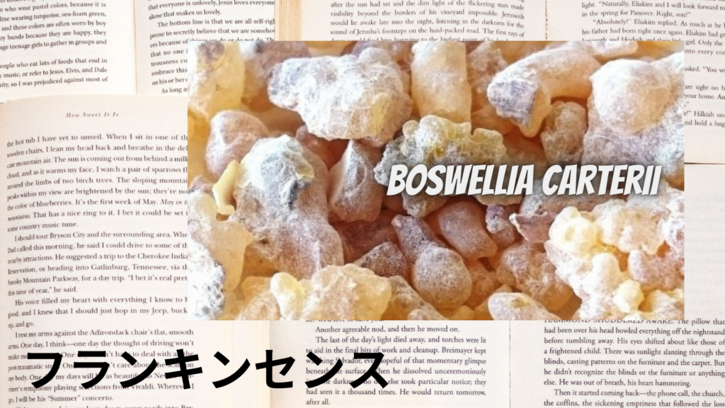 フランキンセンスの植物素材辞典のアイキャッチ
