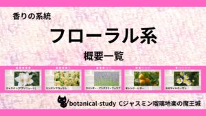 ポートフォリオフローラル系のアイキャッチ