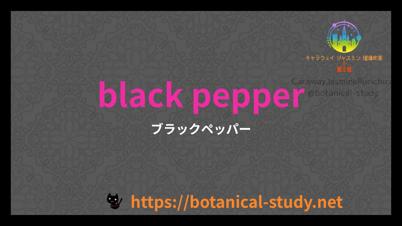 英語版ブラックペッパーの香りの性質辞典のアイキャッチ