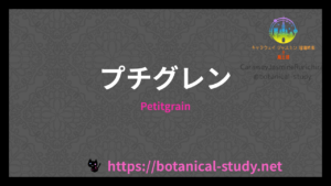 プチグレンの香りの性質辞典のアイキャッチ