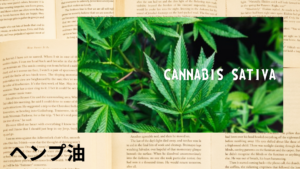 ヘンプ油の植物素材辞典のアイキャッチ