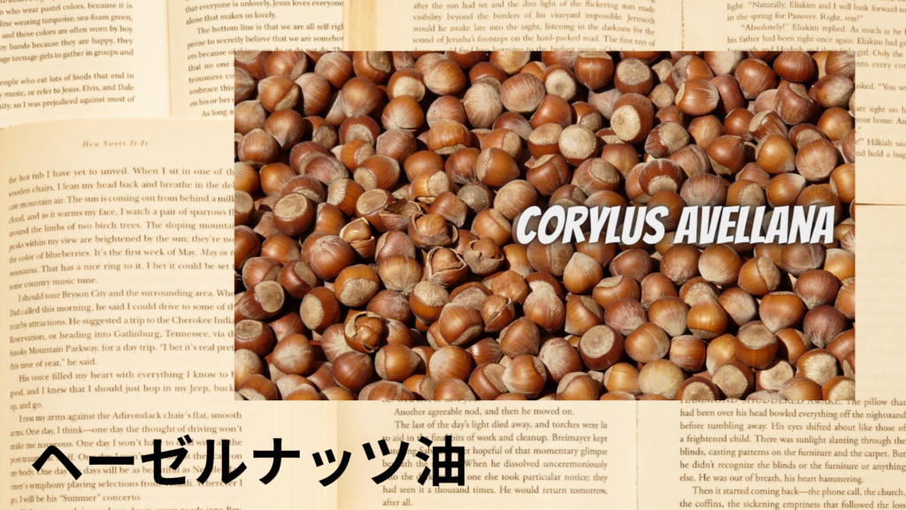 ヘーゼルナッツ油の植物素材辞典のアイキャッチ