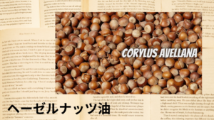 ヘーゼルナッツ油の植物素材辞典のアイキャッチ