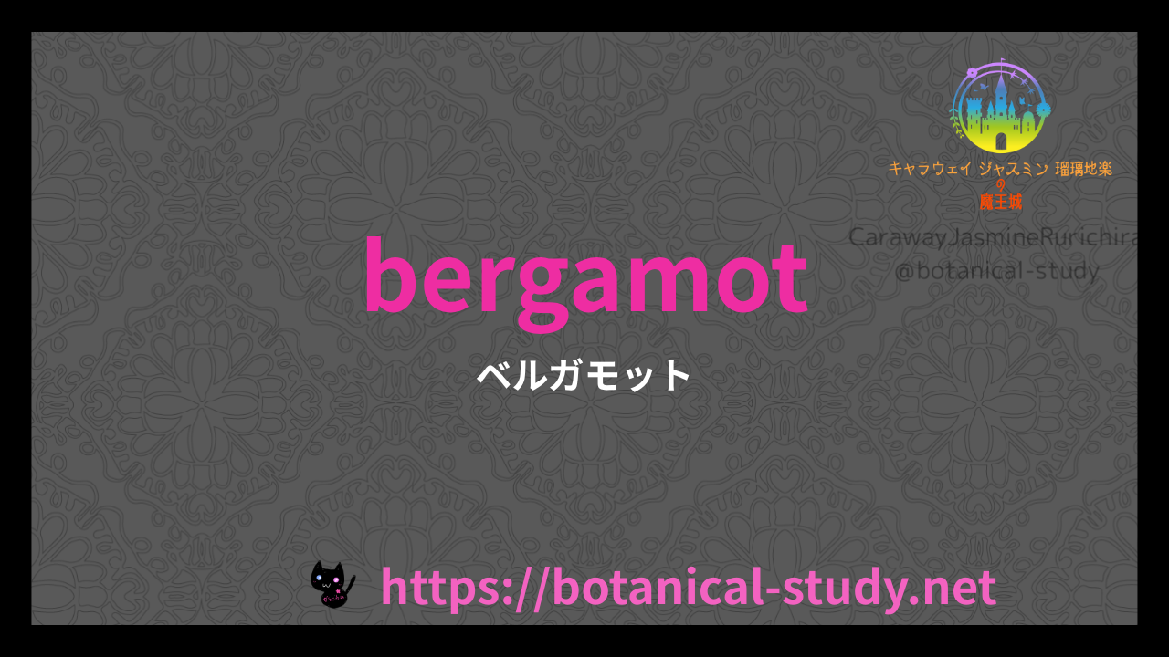 英語版ベルガモットの香りの性質辞典のアイキャッチ