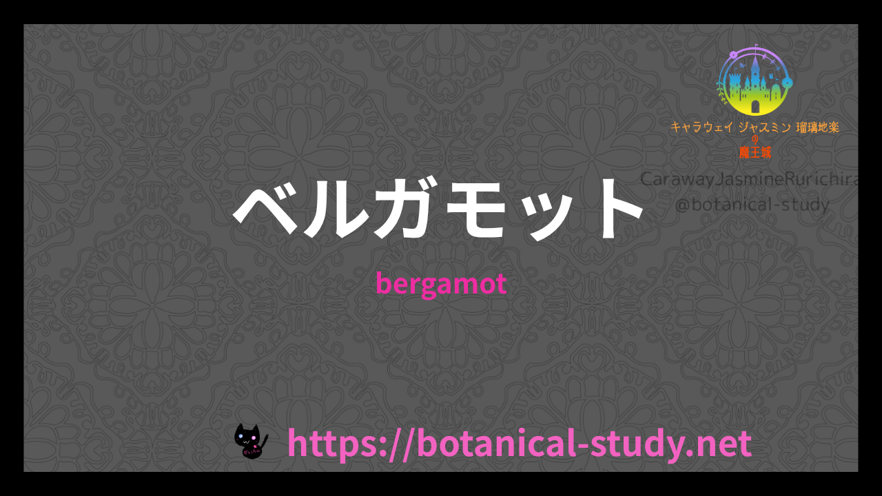 ベルガモットの香りの性質辞典のアイキャッチ