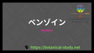 ベンゾインの香りの性質辞典のアイキャッチ
