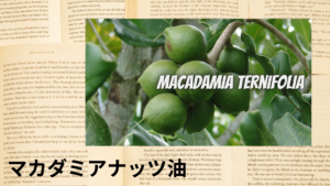 マカダミアナッツ油の植物素材辞典のアイキャッチ