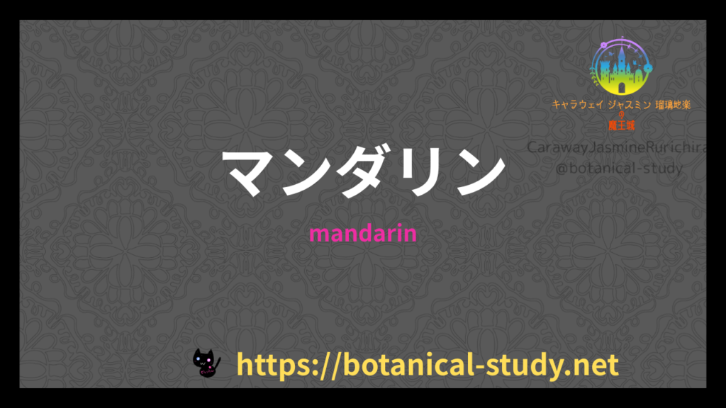 マンダリンのプチ辞典クイズのアイキャッチ