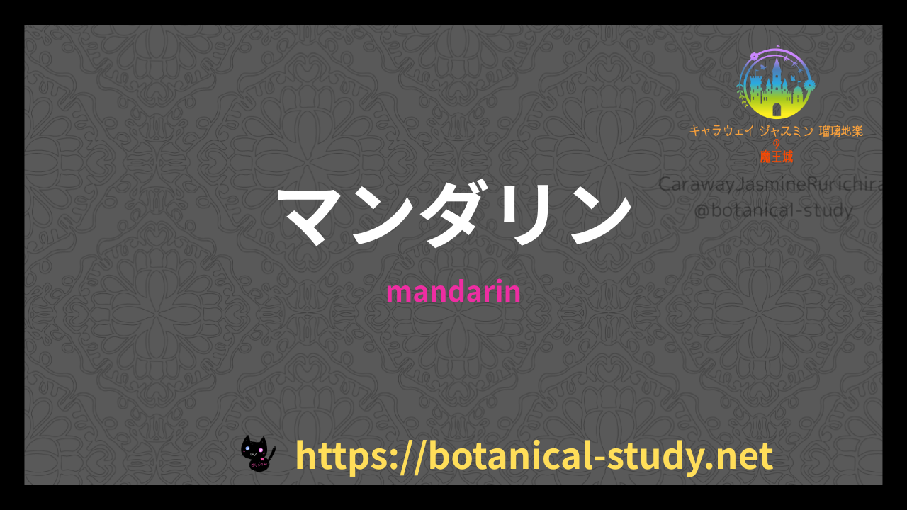 マンダリンのプチ辞典クイズのアイキャッチ