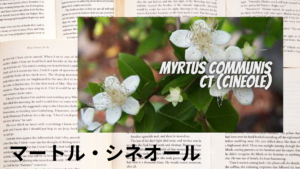 マートルシネオールの植物素材辞典のアイキャッチ