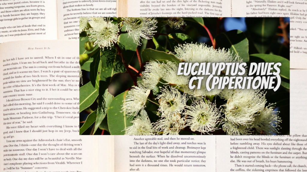 英語版ユーカリディベスの植物素材辞典のアイキャッチ