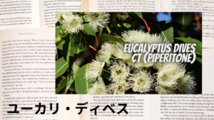 ユーカリディベスの植物素材辞典のアイキャッチ
