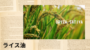ライス油の植物素材辞典のアイキャッチ