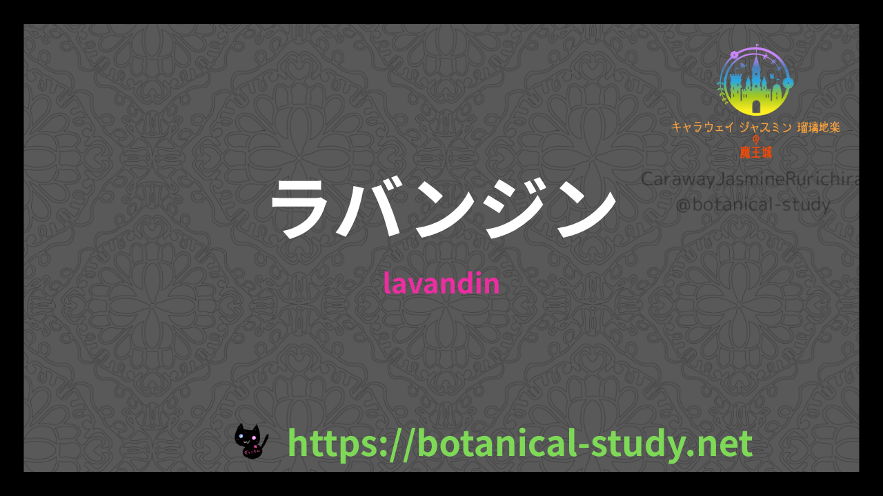 ラバンジンの香りの性質辞典のアイキャッチ