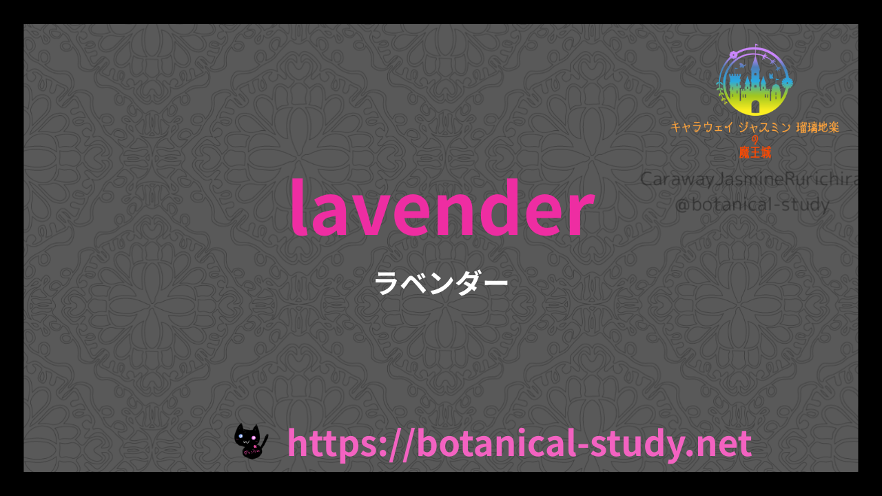 英語版ラベンダーの植物素材辞典のアイキャッチ