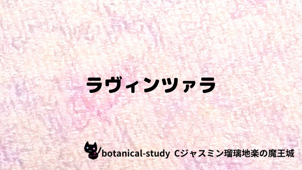 ポートフォリオアロマハーブプチ辞典クイズラヴィンツァラのアイキャッチ