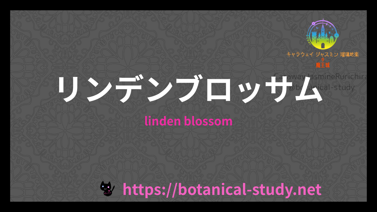 リンデンブロッサムの香りの性質辞典のアイキャッチ
