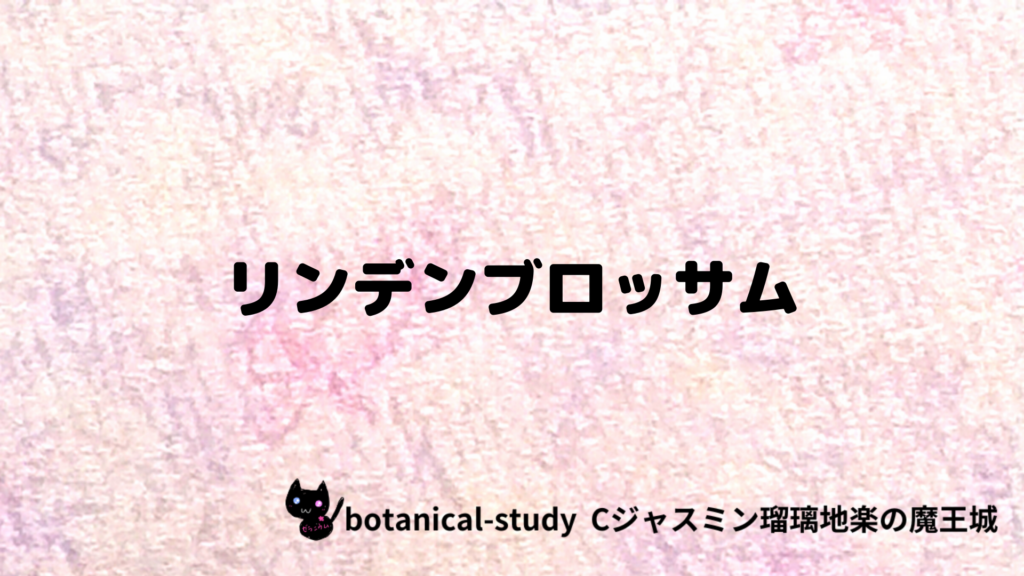 リンデンブロッサムのプチ辞典クイズのアイキャッチ