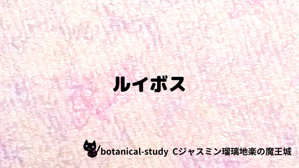 ルイボスのプチ辞典クイズのアイキャッチ