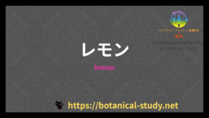 レモンの香りの性質辞典のアイキャッチ