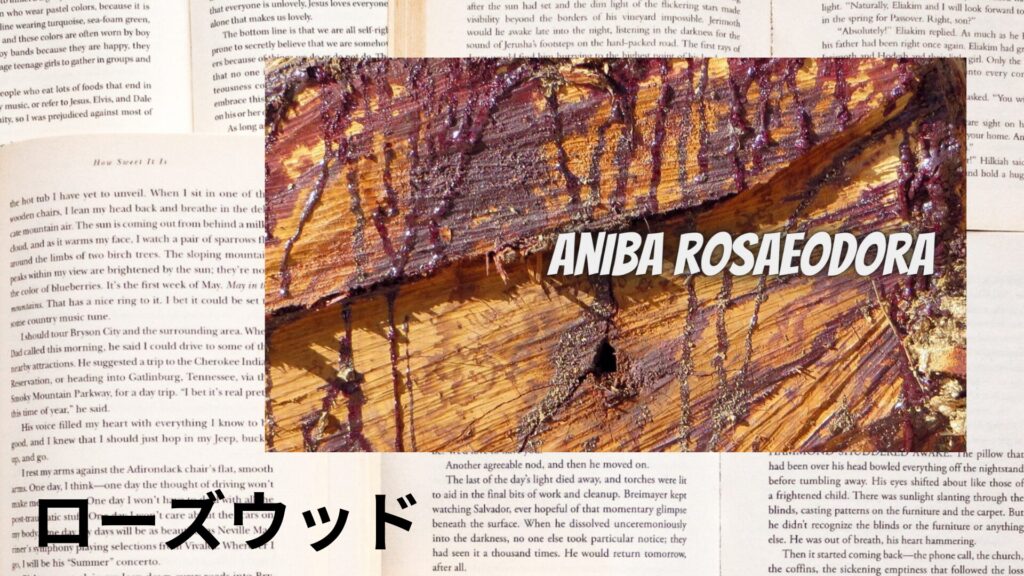 ポートフォリオアロマハーブ辞典ローズウッドのアイキャッチ