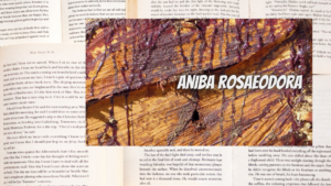 英語版ローズウッドの植物素材辞典のアイキャッチ