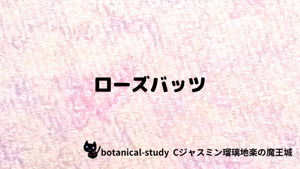 ローズバッツのプチ辞典クイズのアイキャッチ