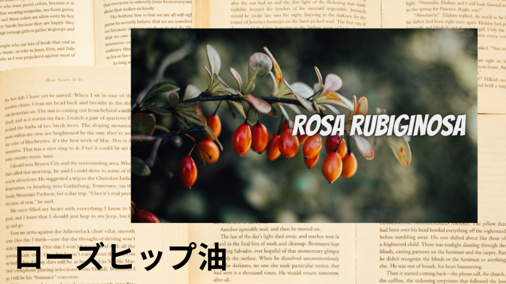 ローズヒップの植物素材辞典のアイキャッチ